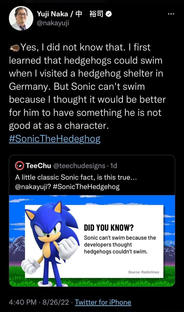 The Origins of Sonic the Hedgehog - TeeChu