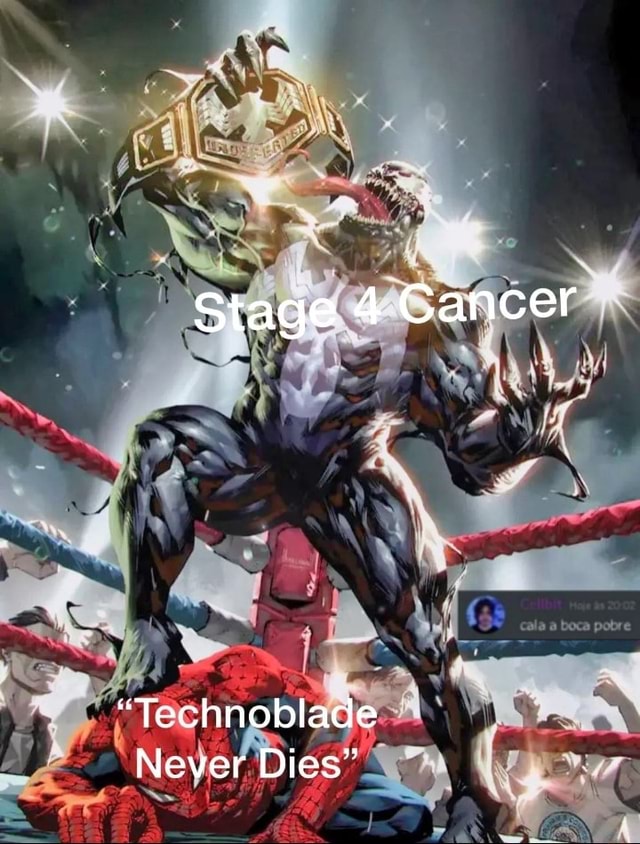 Stage 4 Cancer Technoblade. Never Dies - iFunny Brazil