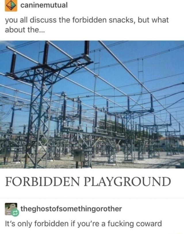 II - Forbidden Playground