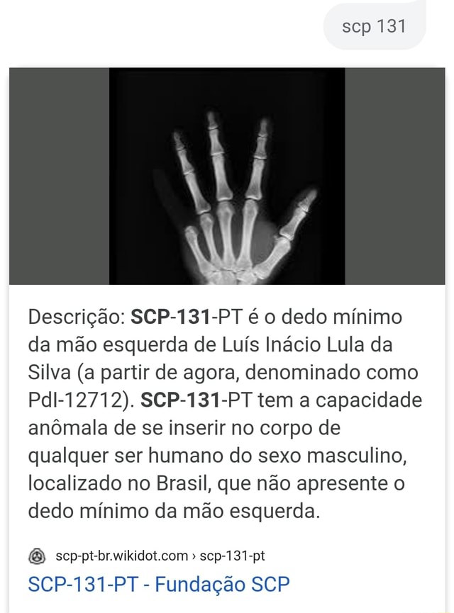 Fundação SCP Brasil