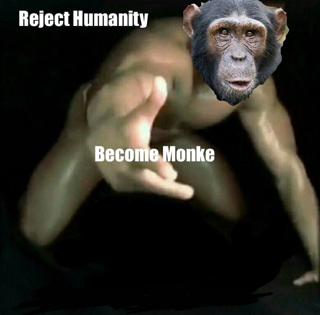 REJECT HUMANITY, BECOME MONKE - by bearbubb (video with sound at