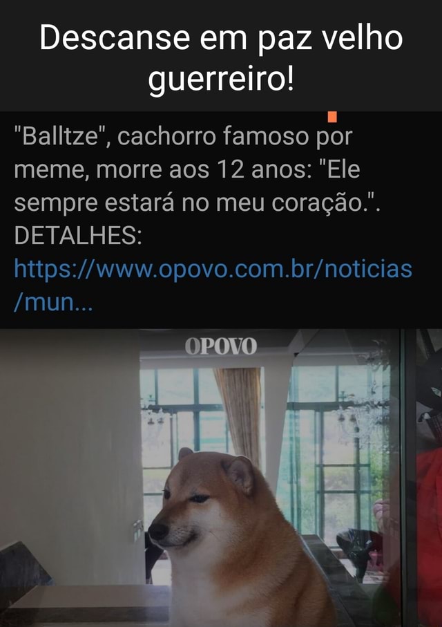 Gente,o cachorro do meme morreu) Press 'F to Pay Respects - iFunny