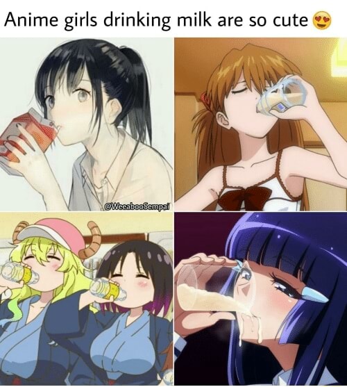 Anime girls drinking tea are so cute - iFunny