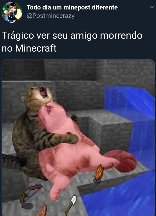 Esse gato morreu de ligma, uma tragédia - iFunny Brazil