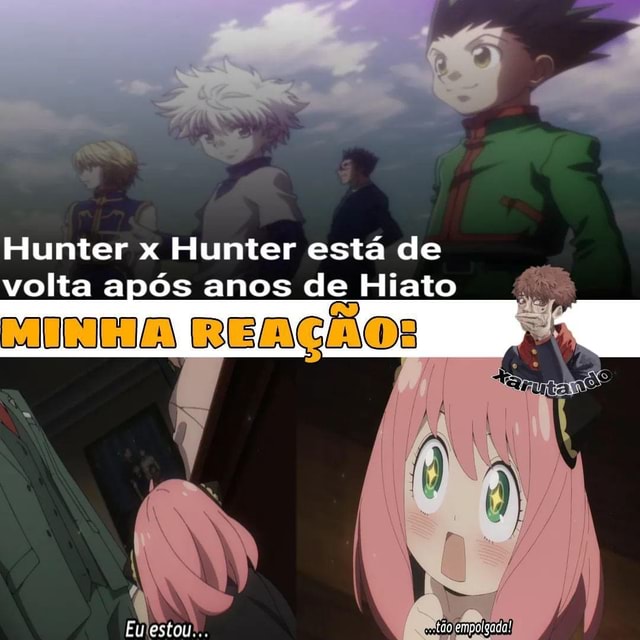 O hiato acabou (por enquanto): Hunter x Hunter volta no mês que vem -  NerdBunker