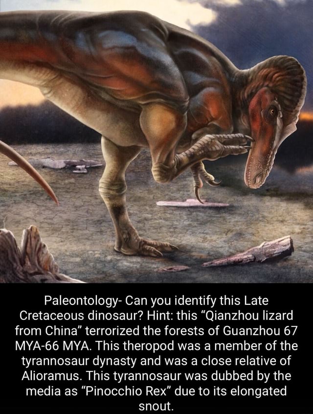 Paleontology- Can you identify this Late Cretaceous dinosaur? Hint ...