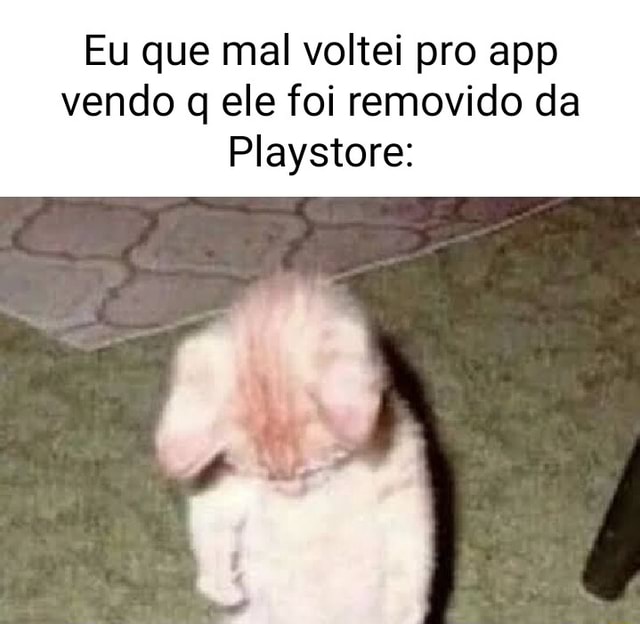 Conta sendo Servidor deslogada do caindo nada Usuário do Better Anime App  sendo removido da Play Store - iFunny Brazil