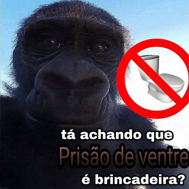 Acho que até o vendedor entrou na brincadeira 😂😂😂 #brincadeira #irm