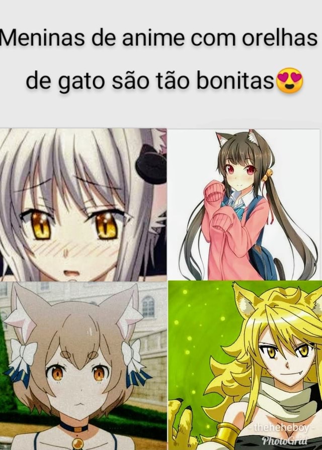 Animes Fox BR