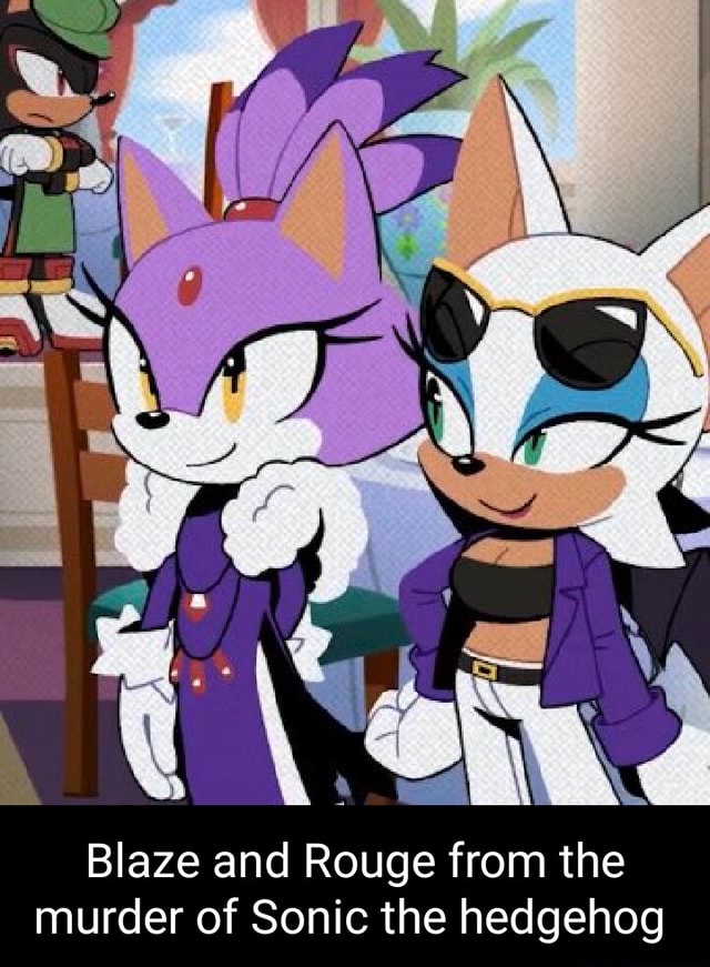 An Blaze And Rouge From The Murder Of Sonic The Hedgehog Ifunny Brazil 3941