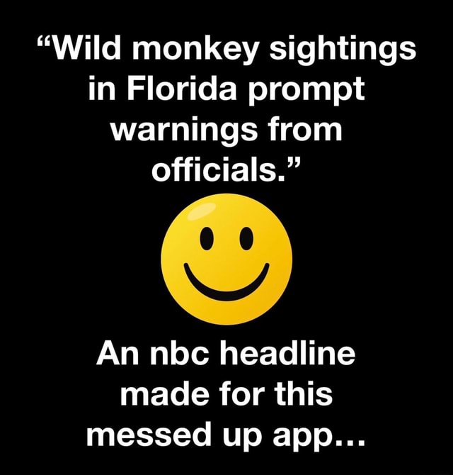 Wild monkey sightings in Florida prompt warnings from officials