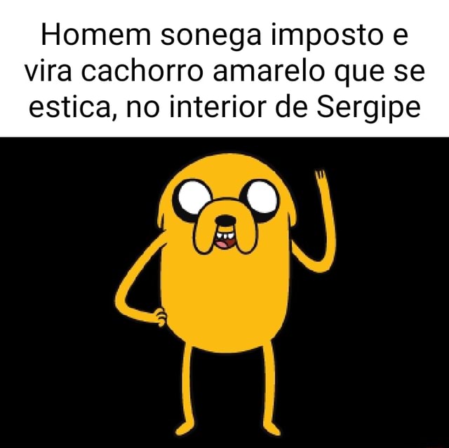 Homem Sonega Imposto E Vira Cachorro Amarelo Que Se Estica No Interior