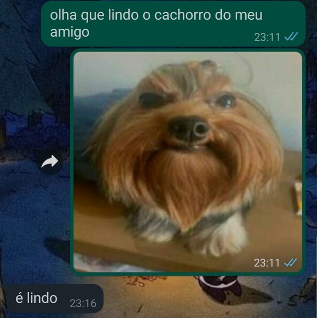 Mais que amigos, friends! kkkkkkkkkkkkkkk #cachorrosdotiktok