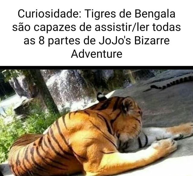 Curiosidade ~ Uma - Jojo's Bizarre Adventure Brasil