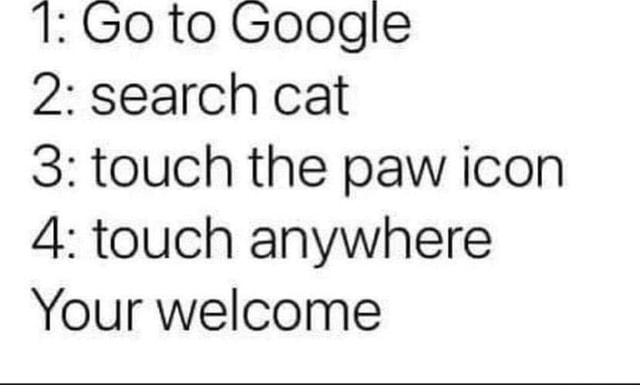 Google cat. Touch the paw print icon. You're welcome - iFunny Brazil