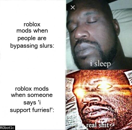 Roblox Moderation Meme