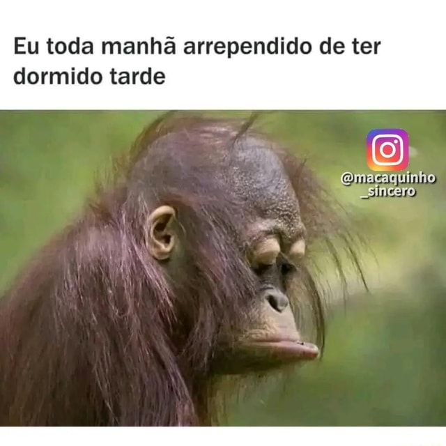 Macaco Sincero - Macaco Sincero added a new photo.