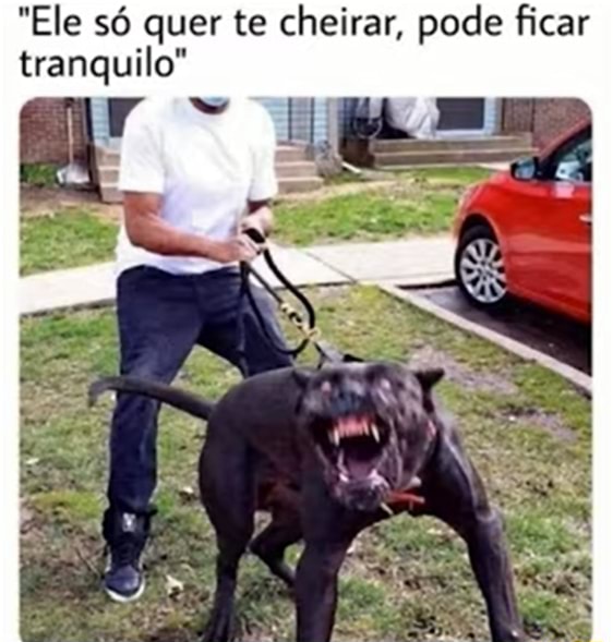 Quando eu estou morrendo na Fila do SUS e me lembro do meme do cachorro  Falando Intankavelo Bostil - iFunny Brazil