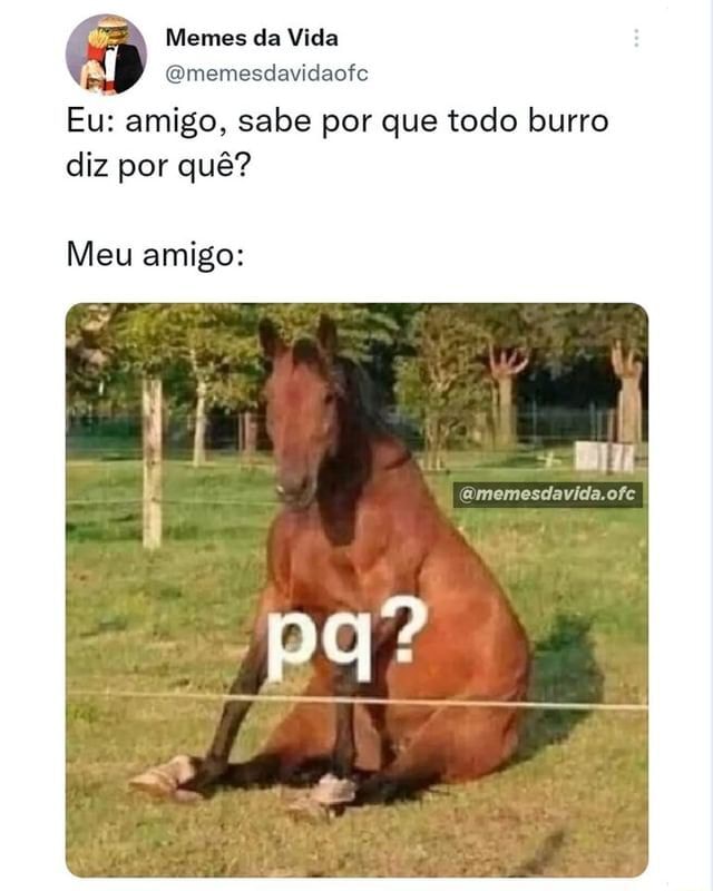 Burro é pika demais - Meme by MMDROID :) Memedroid