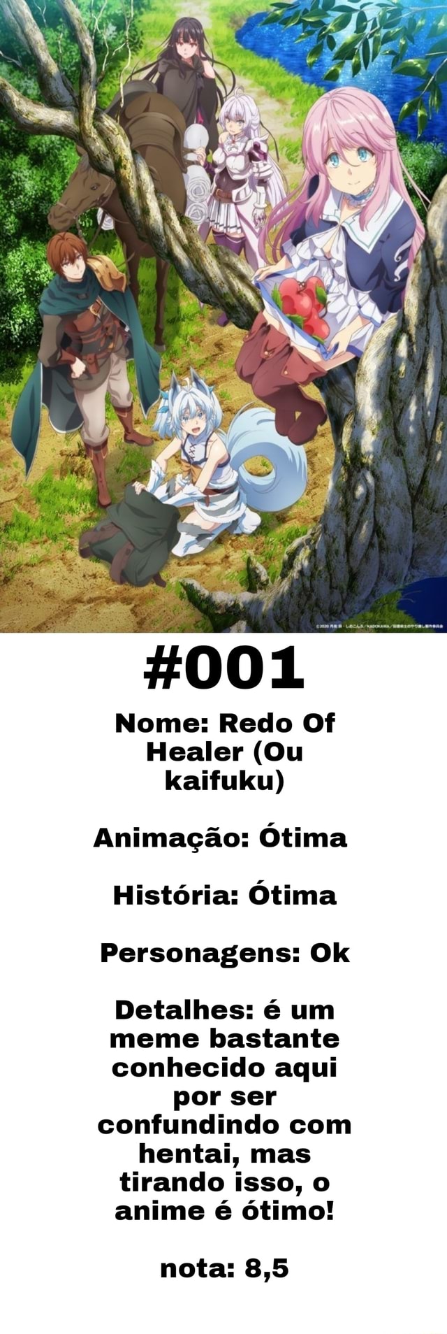 Nome: Redo Of Healer (Ou kaifuku) Animação: Ótima História: Ótima