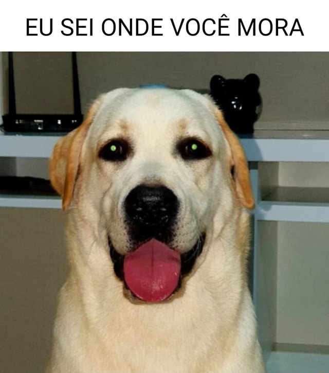 Eu sei onde você mora🥰 #garfield #meme