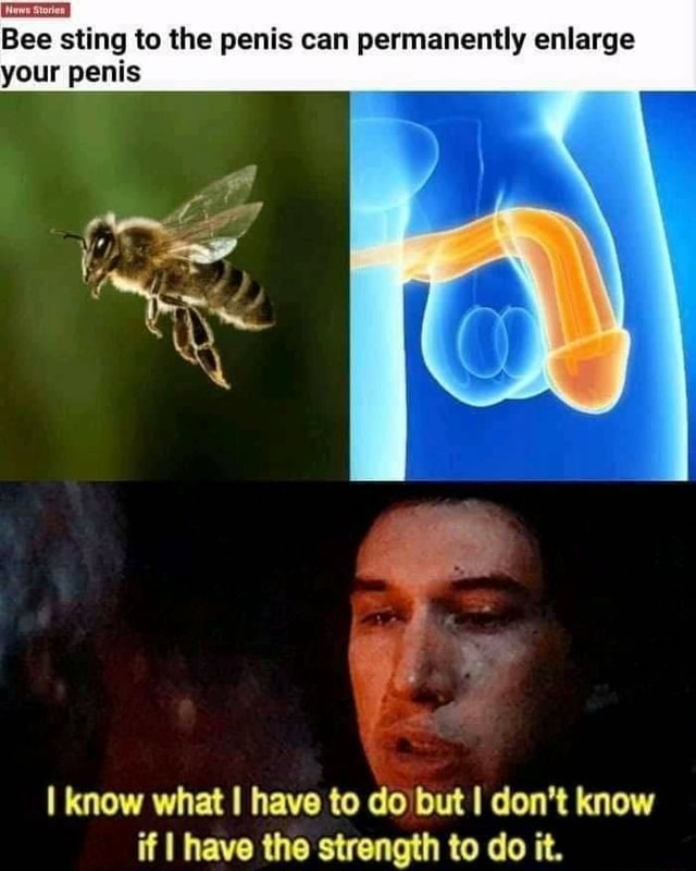 Bee sting to the penis can permanently enlarge your penis I know