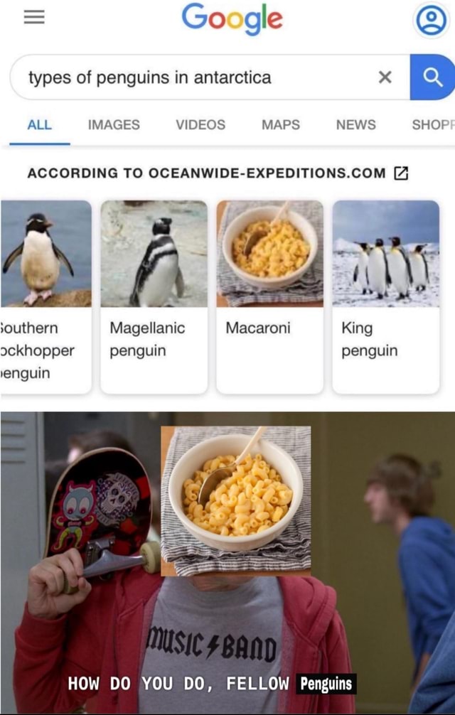 Super duper spicy memes dump - = Google types of penguins in antarctica ...