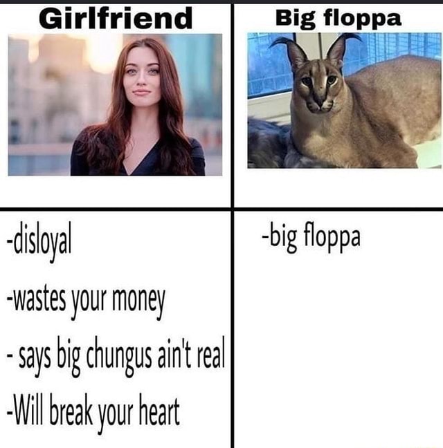 Big floppa was never funny : r/coaxedintoasnafu