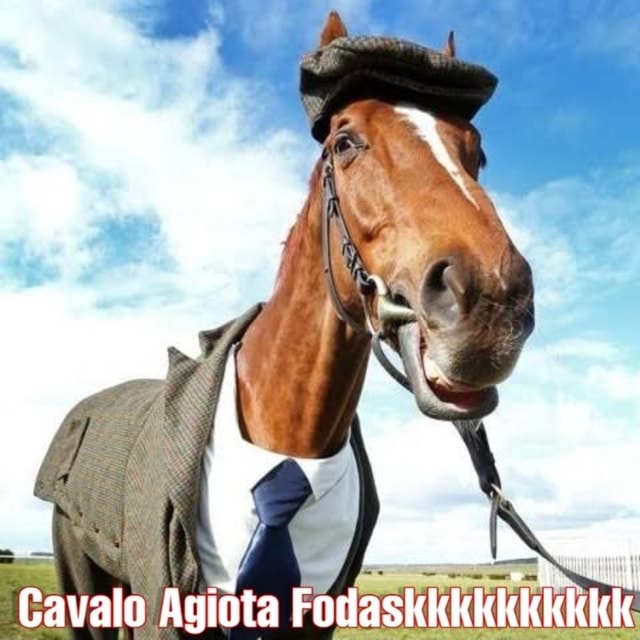 Cavalo - Meme by Giorno_Agiota :) Memedroid