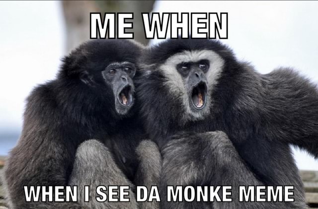 monke Memes