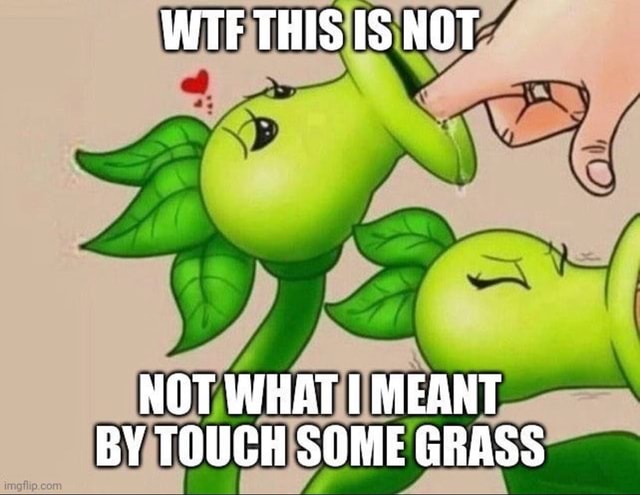 touching grass Memes & GIFs - Imgflip