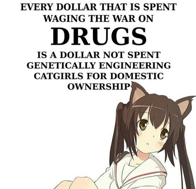 EVERY DOLLAR THAT IS SPENT WAGING THE WAR ON DRUGS IS A DOLLAR NOT SPENT  GENETICALLY ENGINEERING CATGIRLS FOR DOMESTIC OWNERSHIP - iFunny Brazil