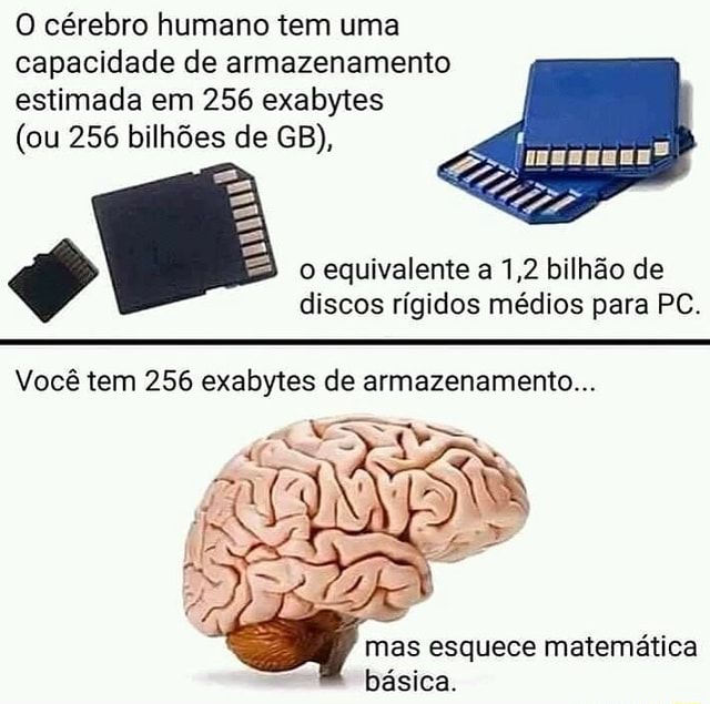O cérebro humano tem uma capacidade de armazenamento estimada em 256 exabytes (ou 256 bilhões de O cérebro humano tem uma capacidade de armazenamento estimada em 256 exabytes (ou 256 bilhões de