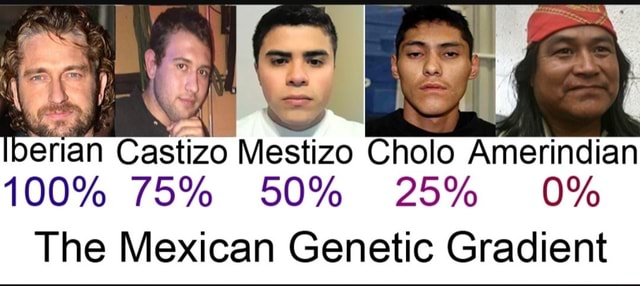 Berian Castizo Mestizo Cholo Amerindian 100% 75% 50% 25% 0% The Mexican ...