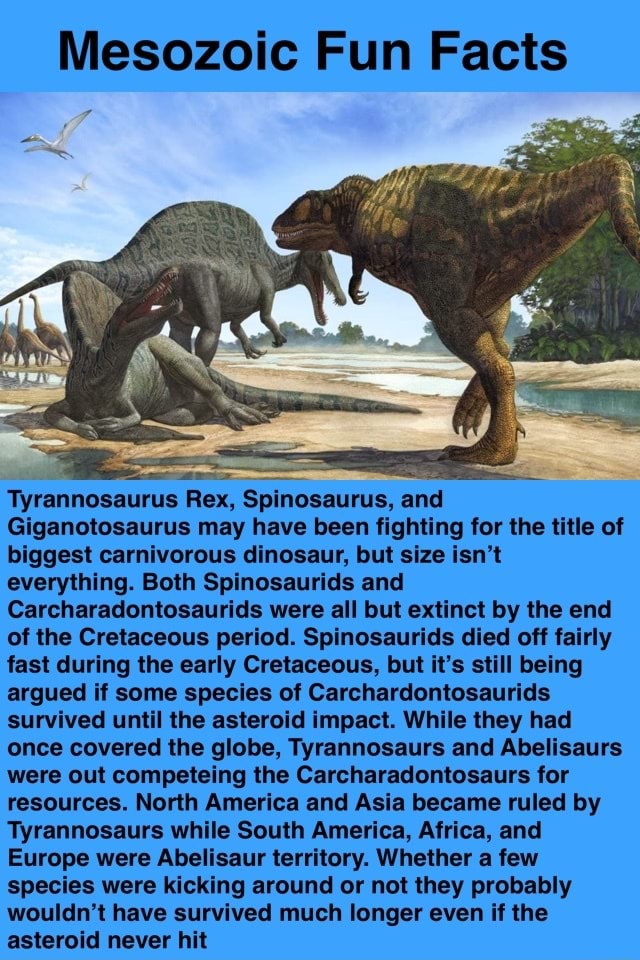 Mesozoic Fun Facts Tyrannosaurus Rex, Spinosaurus, and Giganotosaurus ...