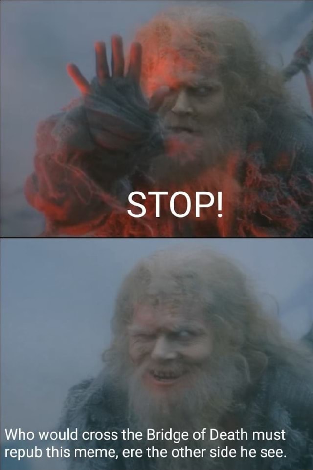 STOP! Who would cross the Bridge of Death must repub this meme, ere the ...