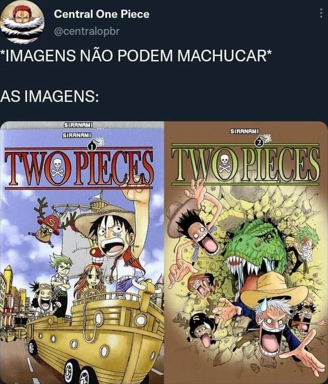 Central One Piece Ecentralopbr IMAGENS NÃO PODEM MACHUCAR* AS IMAGENS: -  iFunny Brazil