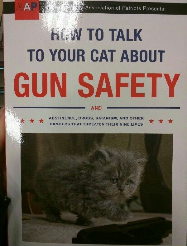 Hit. N TO TALK TO YOUR CAT ABOUT GUN SAFETY - iFunny Brazil