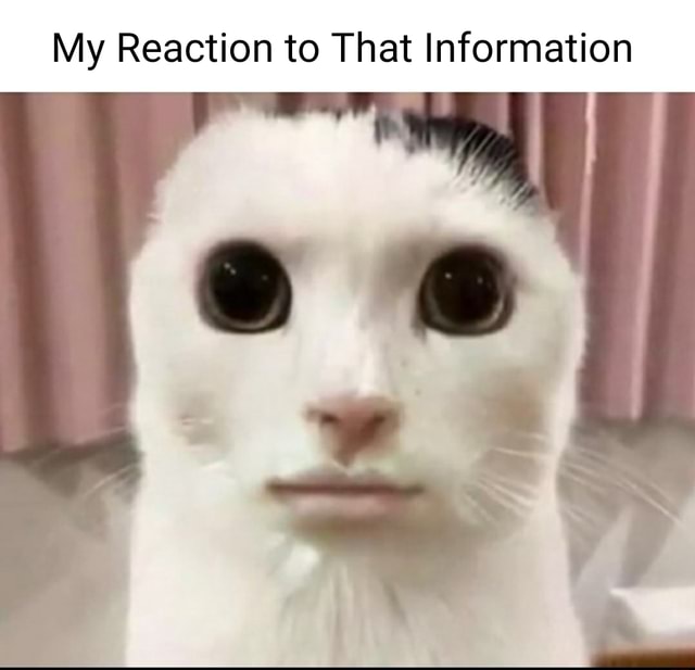 My Reaction to That Information - iFunny Brazil