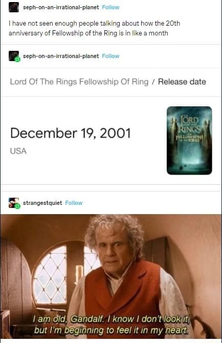 THE FELLOWSHIP OF THE RING - 20TH ANNIVERSARY