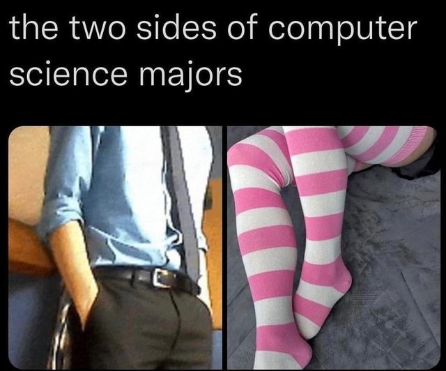 The two sides of computer science majors iFunny Brazil