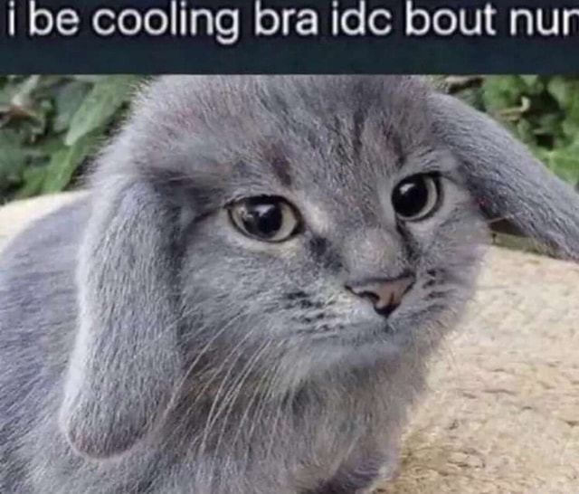Cooling bra