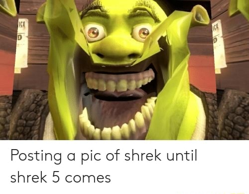 Shrek5 memes. Best Collection of funny Shrek5 pictures on iFunny Brazil