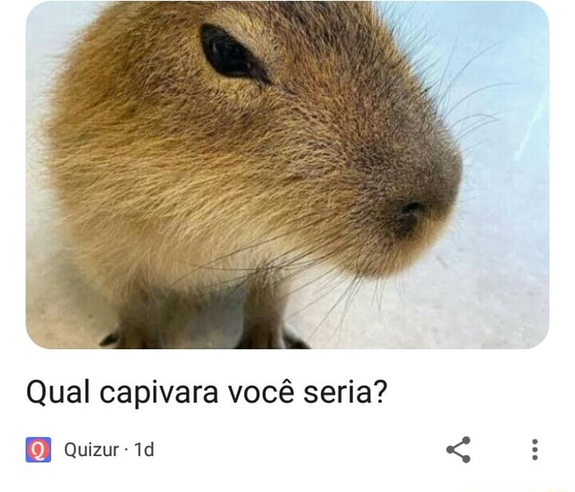 Qual capivara você é?