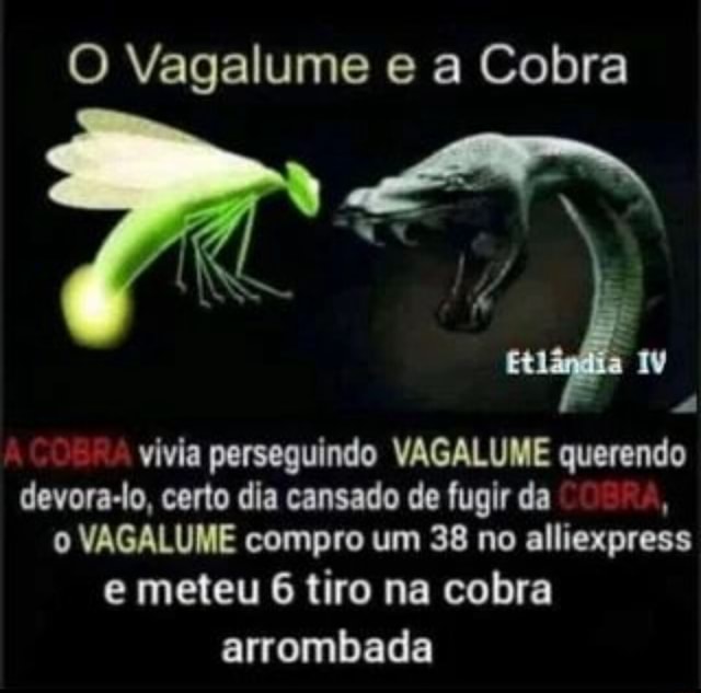 O Vagalume E A Cobra Vivia Perseguindo VAGALUME Querendo Devora-lo ...