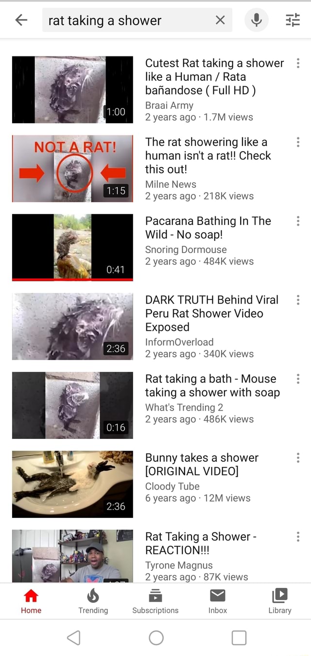 T € rat taking a shower x "4 LL TI Cutest Rat taking a shower like a