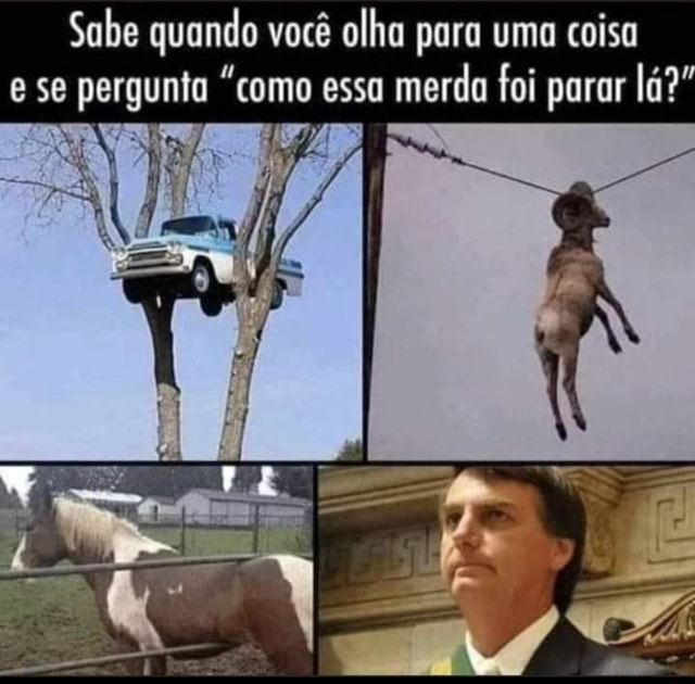 E AR sou canino merda n sei bafora loló - iFunny Brazil