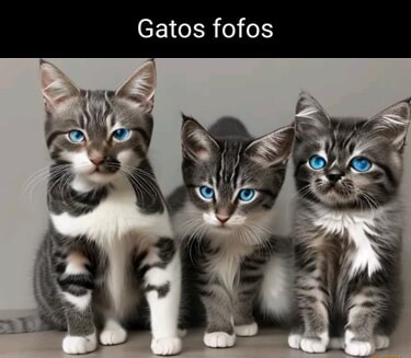 Desenhando gatos fofos em personagens fofas - iFunny Brazil