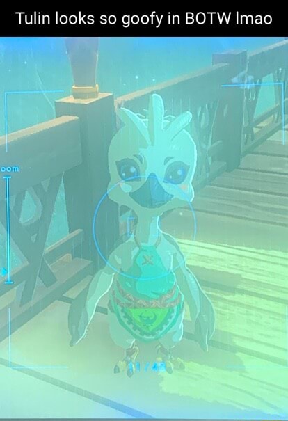 Tulin looks so goofy in BOTW Imao - iFunny Brazil