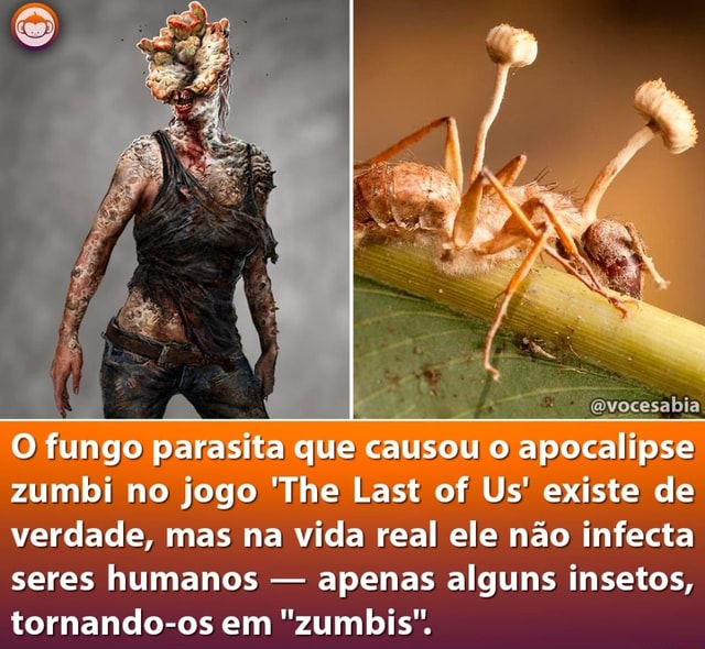 The Last of Us: fungo ''zumbi'' da série existe na vida real